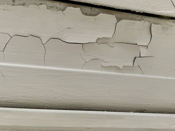 Lead Paint Removal Service