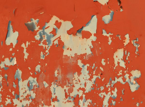 Paint Lead Testing