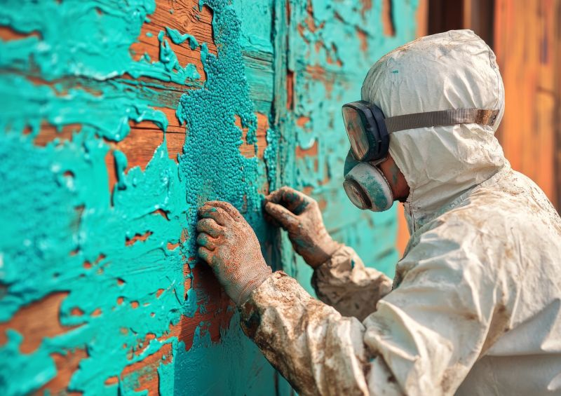 Lead Paint Inspection Service